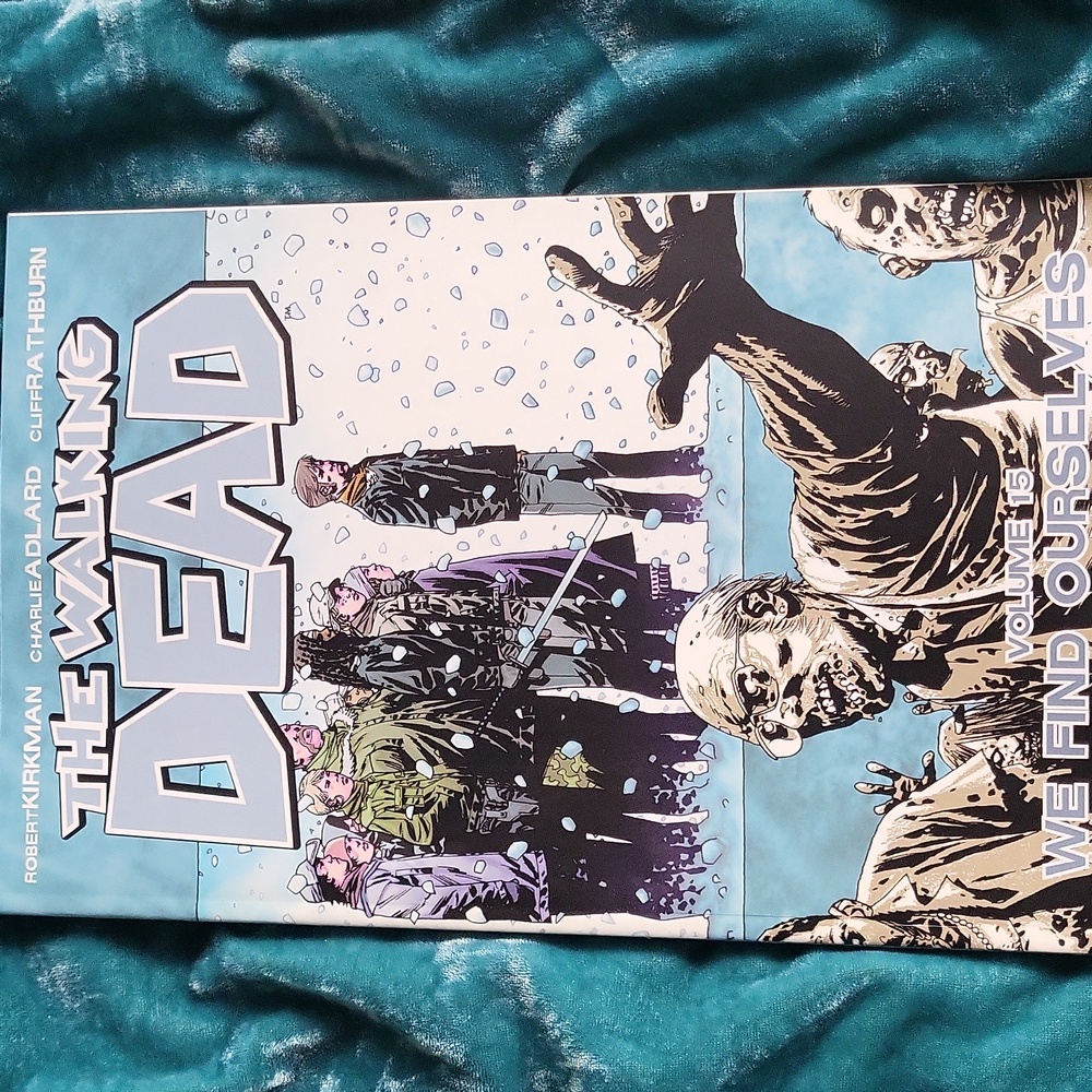 The Walking Dead vol 15 We Find Ourselves, Image Comics,  Robert Kirkman